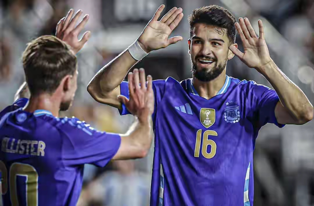 kaiyun-包含阿根廷国家队后卫梅斯特罗维奇宣布退役，感谢球迷支持的词条